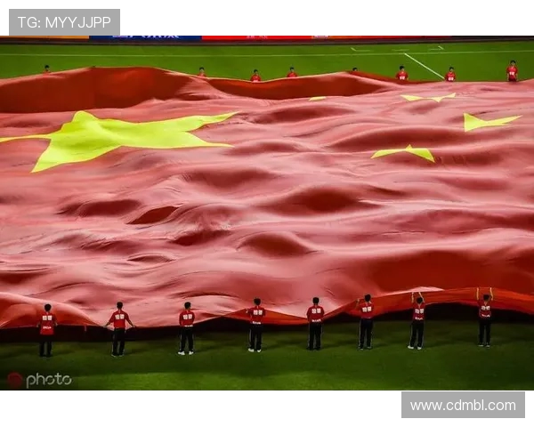 京多安的足球之路：从德甲新星到英超传奇的成长历程与影响